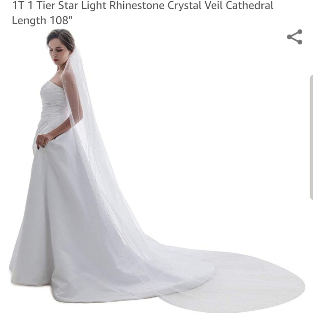 Cathedral length ivory veil